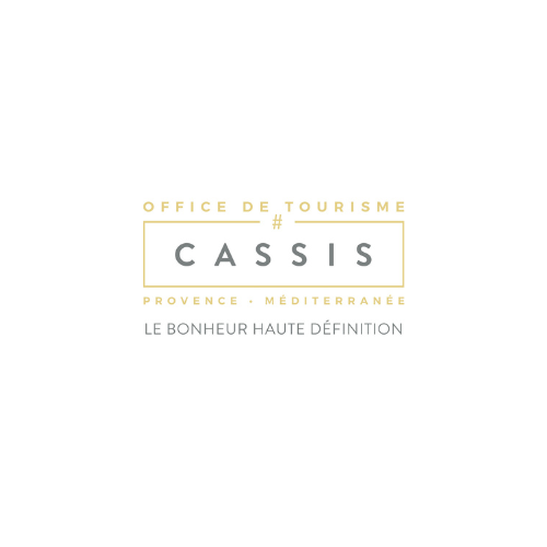 logo CBT Conseil
